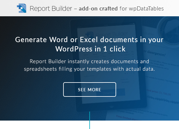 Rapor Oluşturucu, WordPress için bir Word DOCX ve Excel XLSX oluşturucudur